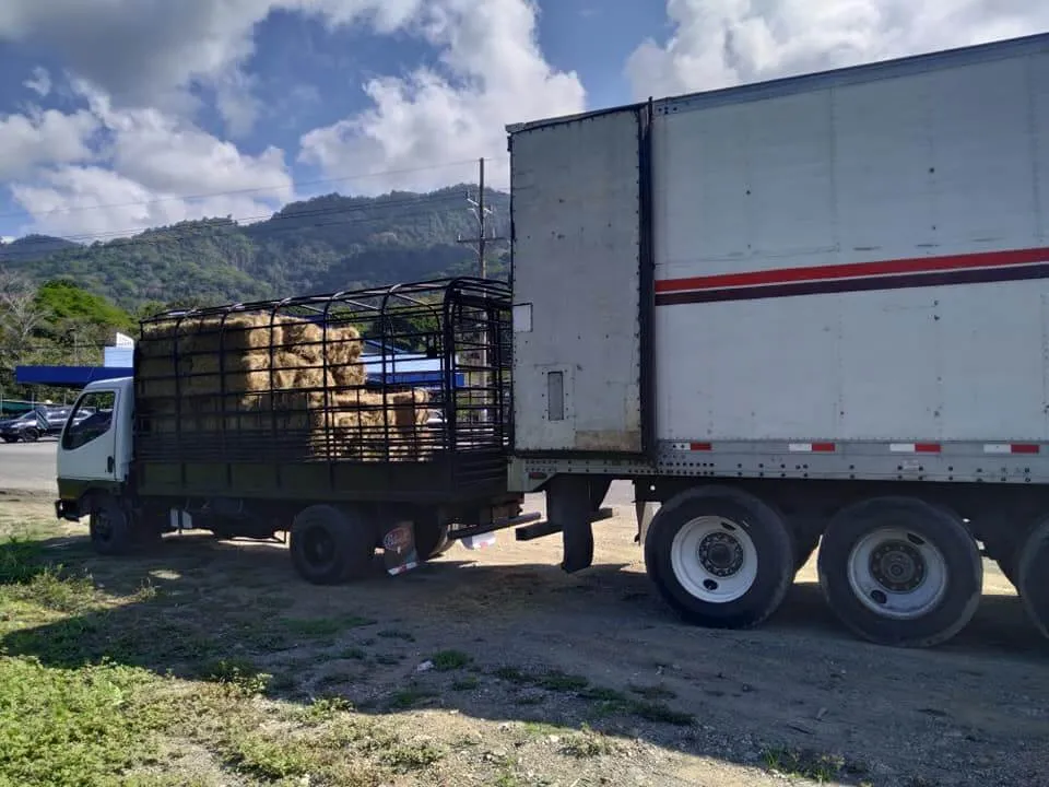 Fondo de la Sección Héroe